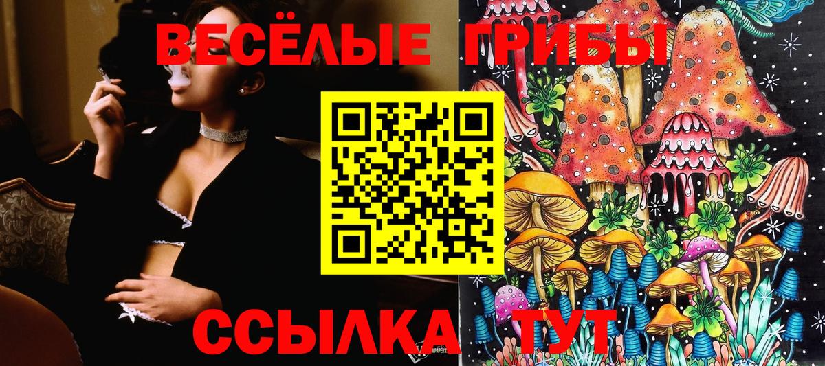 Галлюциногенные грибы Psilocybine cubensis  Вход с VPN  Люберцы 